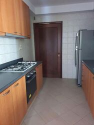 Trellis Towers (D12), Condominium #638189751
